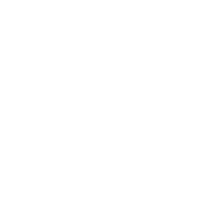 Google Ability